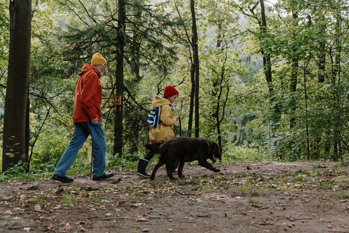 man, child and dog walking in the woods