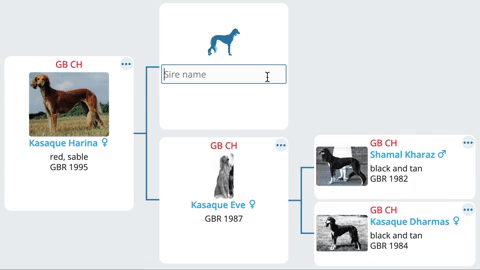 Example of adding a missing parent directly to the pedigree