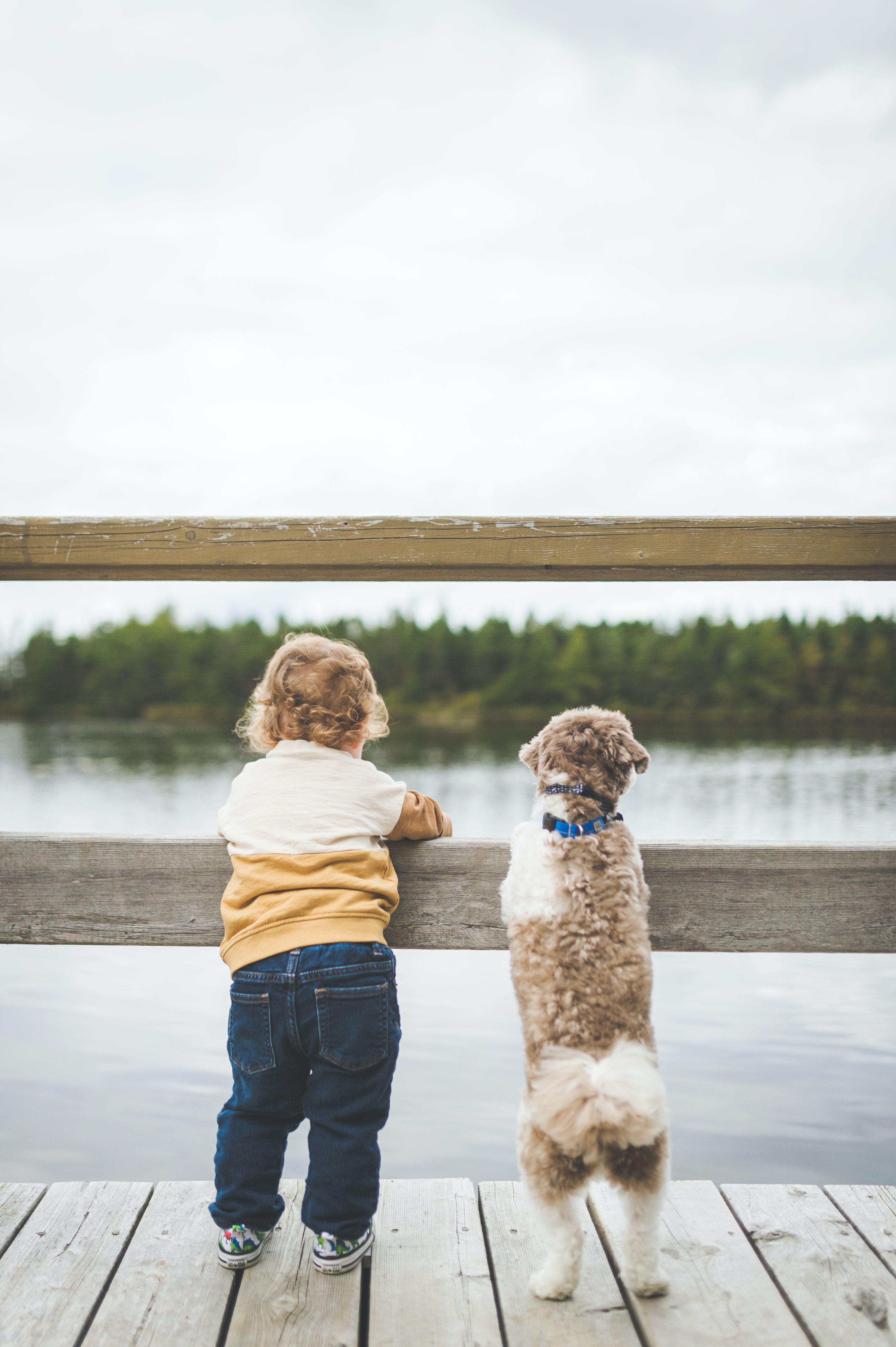 Child with a dog standing at a lake
