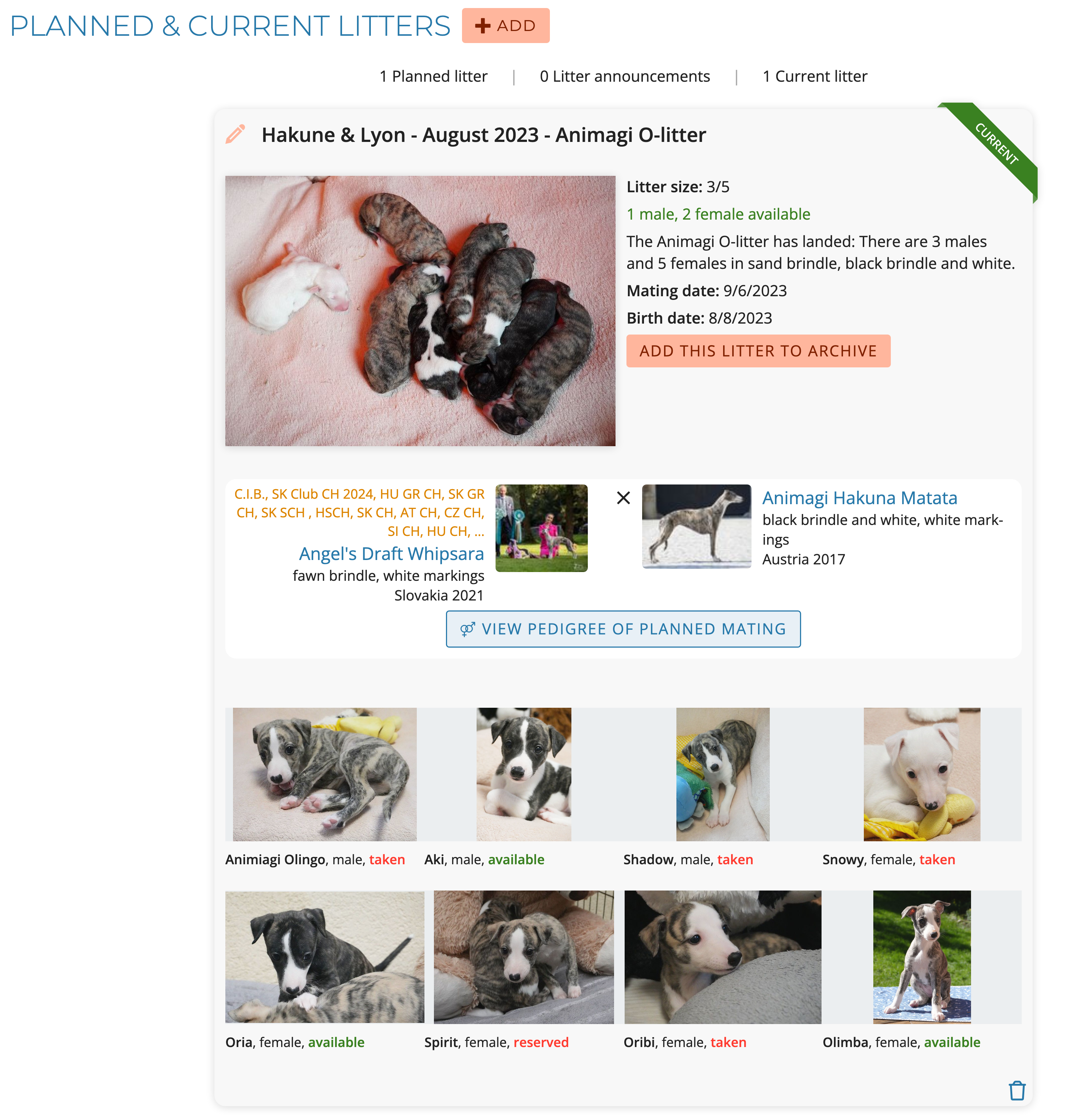 Example of a current litter