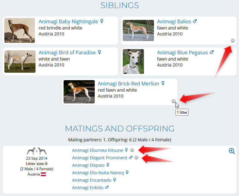 Pawprint icon marking dogs used for further breeding