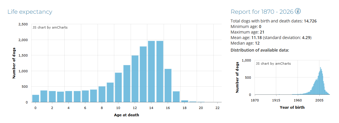 Health Statistic - life expectancy